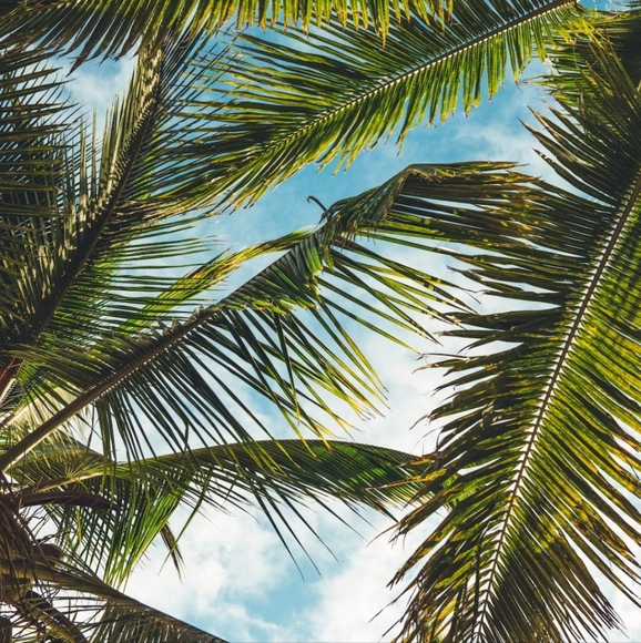 Meet your Posher, Marsha - Picture 2 of 16